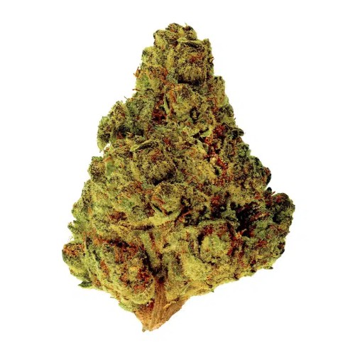 BLITZ PREMIUM HEMP THCA FLOWER 3.5G ASSORTED STRAINS