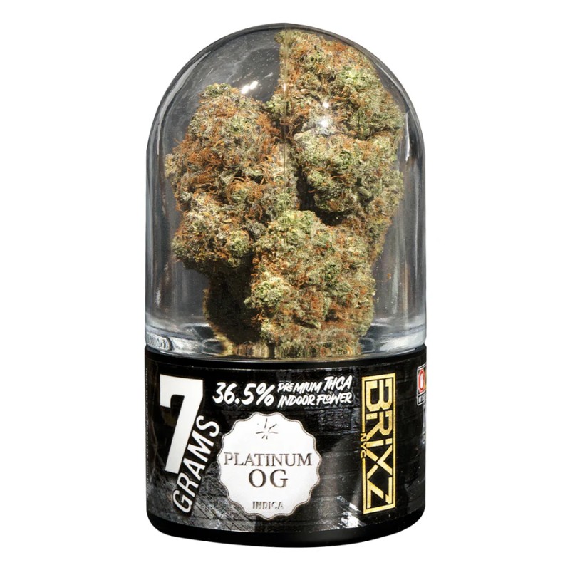 DAZED 7G 5CT BRIXZ THCA FLOWER JAR DISPENSER- PLATINUM OG (I)