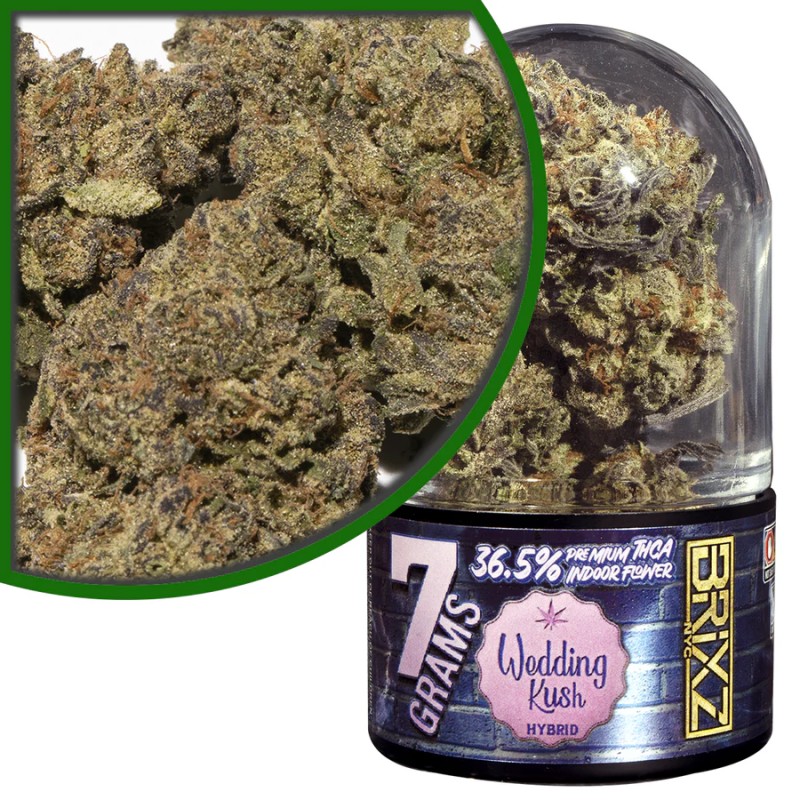 DAZED 7G 5CT BRIXZ THCA FLOWER JAR DISPENSER- WEDDING KUSH (H)