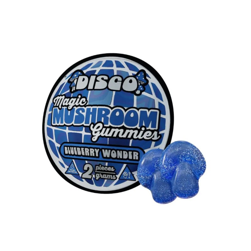 DISCO 8G MUSHROOM GUMMY 6PK- BLUEBERRY WONDER
