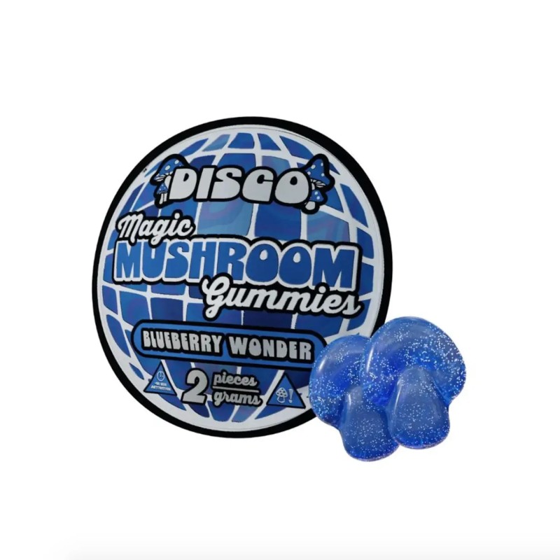 DISCO MUSHROOM 20PK/2PC GRAVITY DISPLAY- BLUEBERRY WONDER