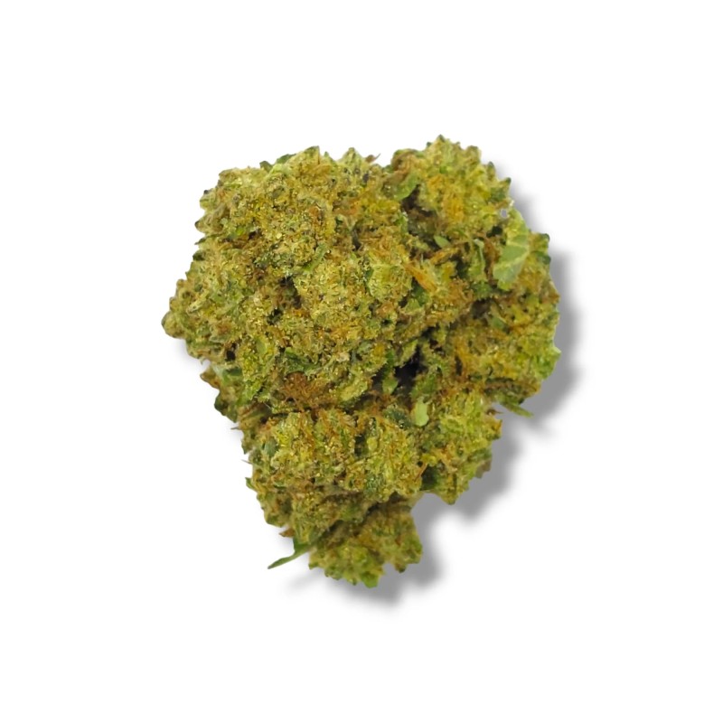 FLYING HORSE 1/4 POUND INDOOR THC A FLOWER- BANANA KUSH (I)