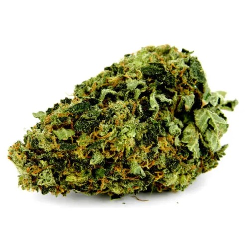 FLYING HORSE 1/4 POUND INDOOR THC A FLOWER- KOSHER KUSH (I)