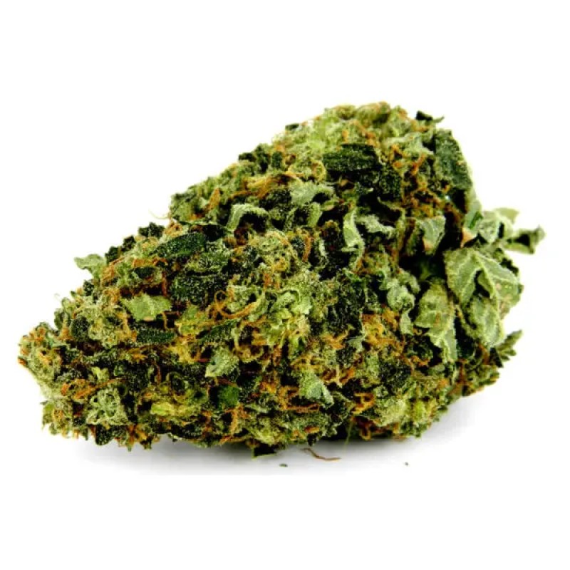 FLYING HORSE 1/4 POUND INDOOR THC A FLOWER- KOSHER KUSH (I)