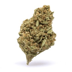 GOAT THCA FLOWER 28G - AMNESIA HAZE (S)