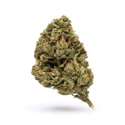 GOAT THCA FLOWER 3.5G - RUNTZ (H)