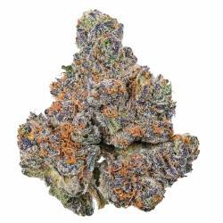 GOOD SHIT 4G THCA EXOTIC FLOWER 10CT BAGS- ASSORTED STRAINS