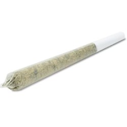 HIGH GRAVITY .5G THCA PRE ROLLS- TRAIN WRECK (S)