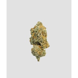 IMPERIAL HIGH GRADE ZAZA FLOWER- GRANDDADDY PURPLE (I)