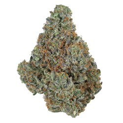 KANNA BOSS CREME OF THE CROP 4G THCA FLOWER- ANIMAL COOKIES (S)