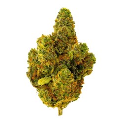 KANNA BOSS CREME OF THE CROP 4G THCA FLOWER- TANGILOPE (S)