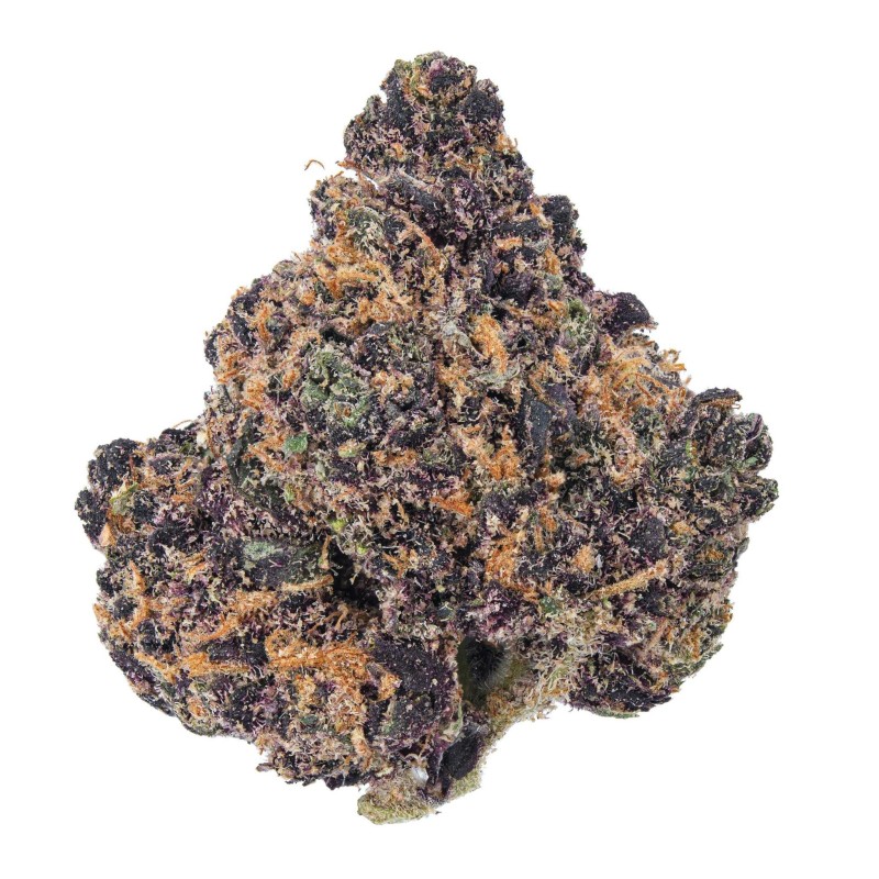 KANNABOSS 1G THC-A FLOWER 20CT JAR - FERRARI RUNTZ (S)