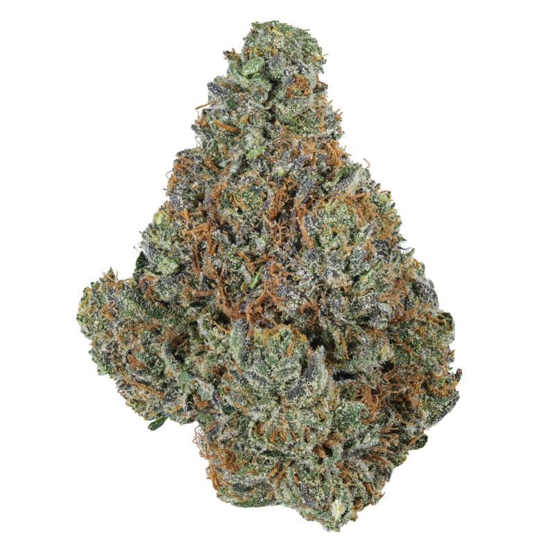 KANNABOSS 1G THC-A FLOWER 20CT JAR - PURPLE COOKIES (I)