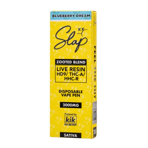 KIK SLAP 2G ZOOTED BLEND BLUEBERRY DREAM