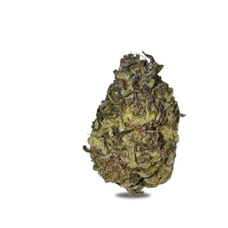 MUHA MEDS KING 4G THC-A FLOWER - GUSH MINTZ