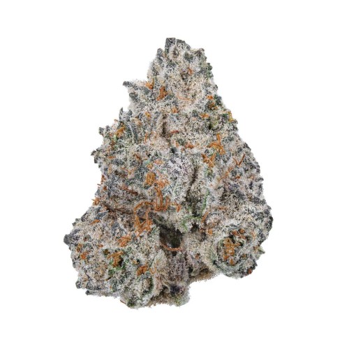 NIRVANA 2OZ EXOTIC THC-A FLOWER - WHITE TRUFFLE (I)