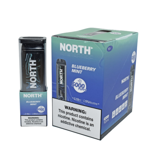 NORTH 5000 PUFF - BLUEBERRY MINT