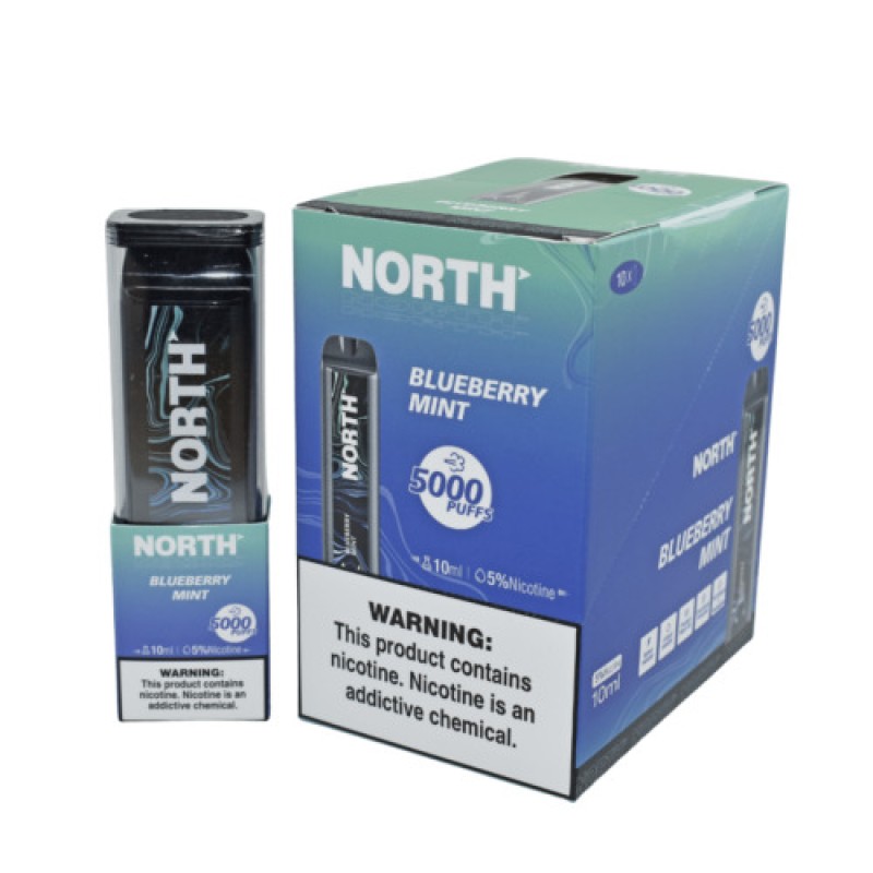 NORTH 5000 PUFF - BLUEBERRY MINT