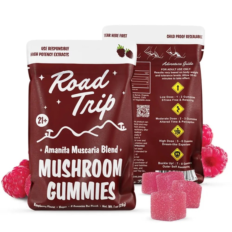 ROAD TRIP AMANITA MUSCARIA 2 GUMMY FUNPACK 30CT DISPLAY - RASPBERRY