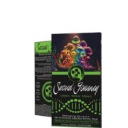 SACRED JOURNEY MUSHROOM CHOCOLATE BAR- BELGIAN CHOCOLATE & ENGLISH TOFFEE