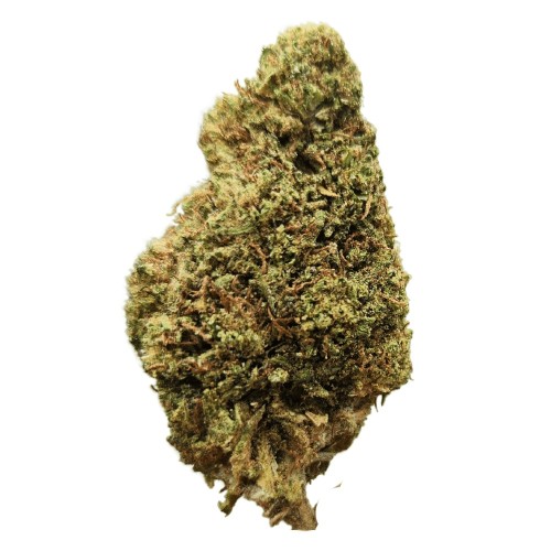 TAPESTRY HERB CO. THCA FLOWER 1LB BOX LARRY HOOVER SATIVA