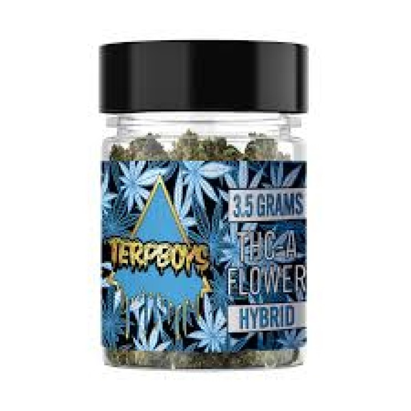 TERPBOYS 3.5G THCA- WIZARD TREE