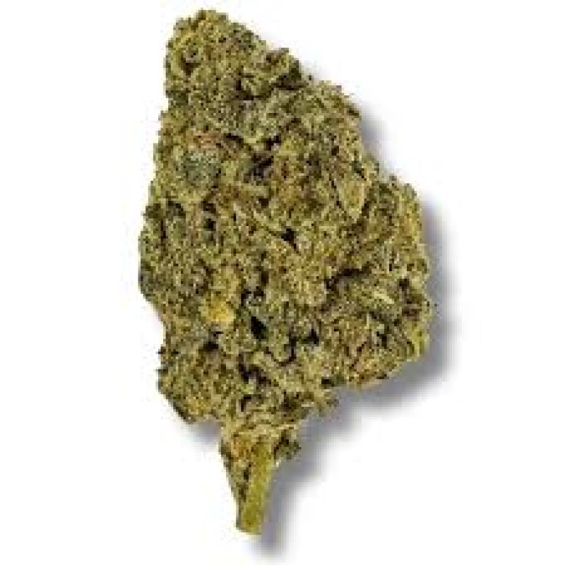 TERPBOYS 7G THCA FLOWER- LEMON VUITTON