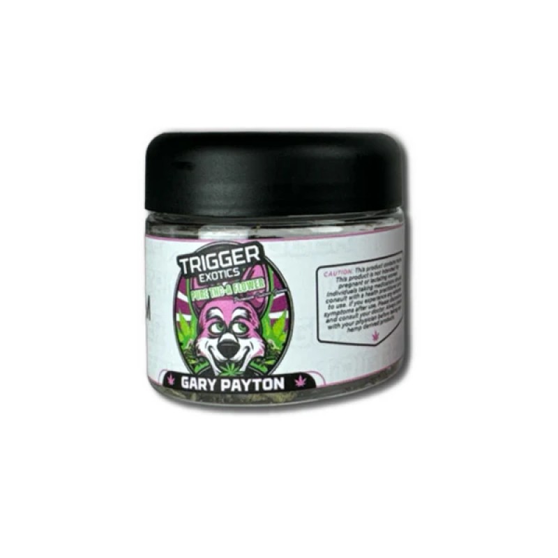 TRIGGER EXOTICS 3.5G- GARY PAYTON (H)