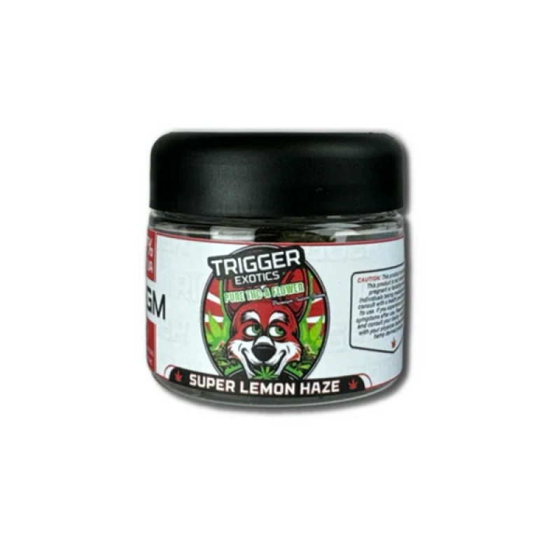TRIGGER EXOTICS 3.5G- SUPER LEMON HAZE (S)