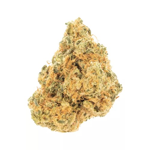 TRIGGER EXOTICS 7G- GLUEBALL (H)