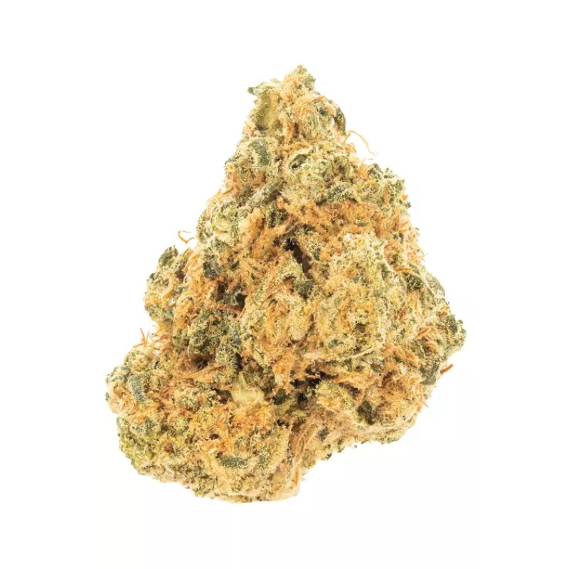 TRIGGER EXOTICS 7G- GLUEBALL (H)