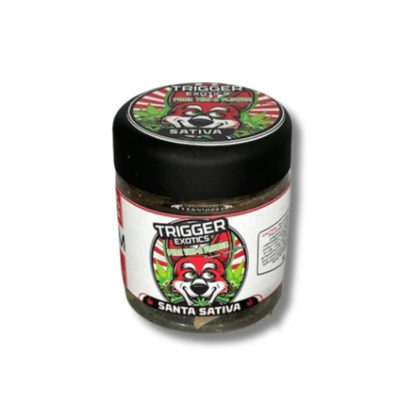 TRIGGER EXOTICS 7G- SANTA SATIVA (S)