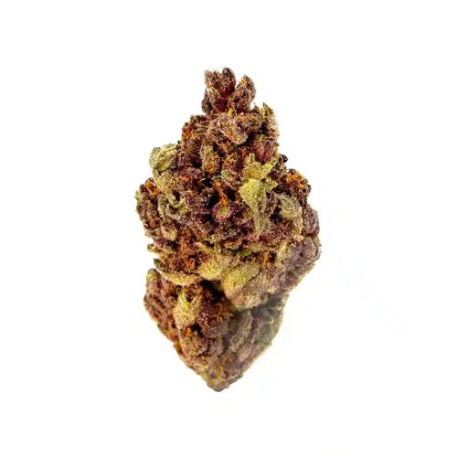 TRIGGER EXOTICS PURE THCA 2G FLOWER JAR- GORILLA GLUE (H)