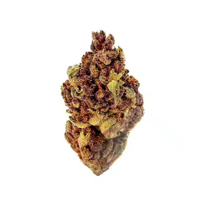 TRIGGER EXOTICS PURE THCA 2G FLOWER JAR- GORILLA GLUE (H)