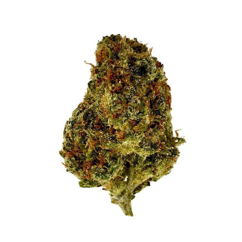 TRIGGER EXOTICS PURE THCA 2G FLOWER JAR- JACK HERER (H)