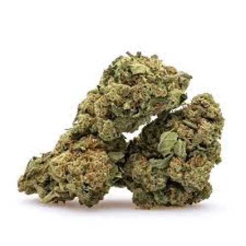 UNDERDOGS INDOOR ZAZA+ FLOWER THC-A HALF POUND - RAINBOW RUNTZ (I)