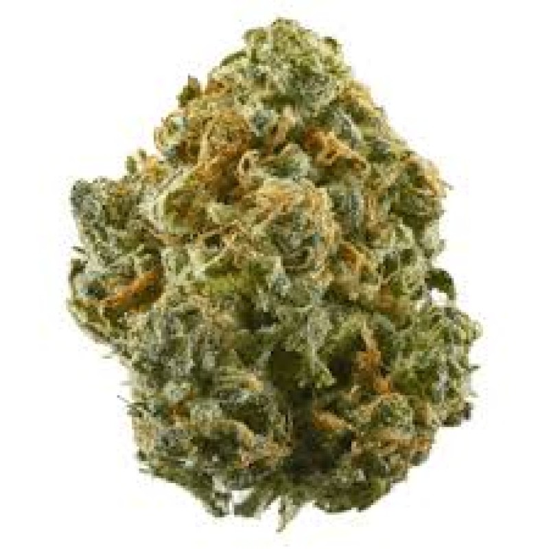 UNDERDOGS INDOOR ZAZA+ FLOWER THC-A HALF POUND - STREET TARTZ