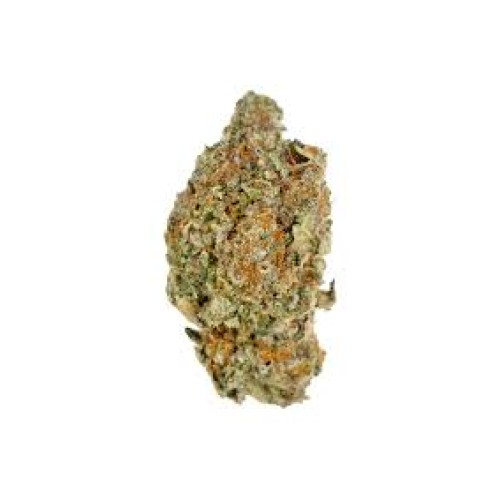 UNDERDOGS PREMIUM INDOOR FLOWER THCA 1/4LB JAR- DONNY BURGER