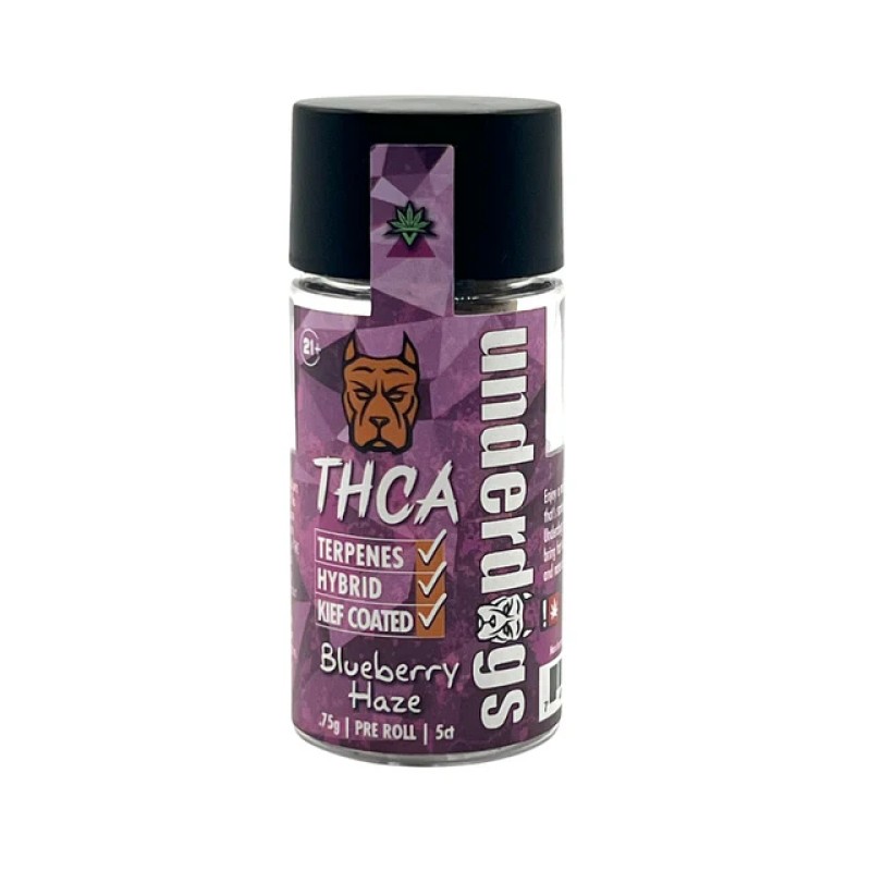 UNDERDOGS THCA KIEF PRE-ROLLS 5CT/JAR- BLUEBERRY HAZE (H)