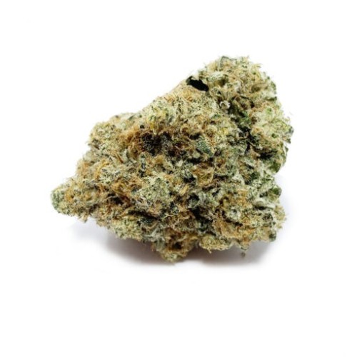 WAZABI EXOTICS 3.5G TRICHOME-RICH FLOWER- BUSHIDE BLAZE (H)