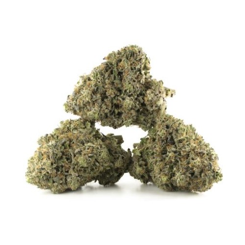 WAZABI EXOTICS 3.5G TRICHOME-RICH FLOWER-BUBBLE BUTT (I)